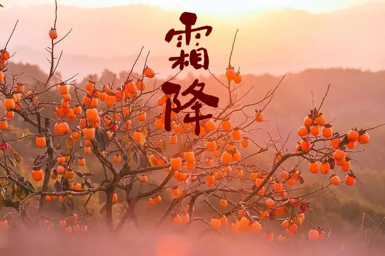 D(zhun)g˪һůƶﶬ